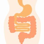 妊娠中の葉酸サプリのおすすめはどれ?サプリ選びの3つのポイント